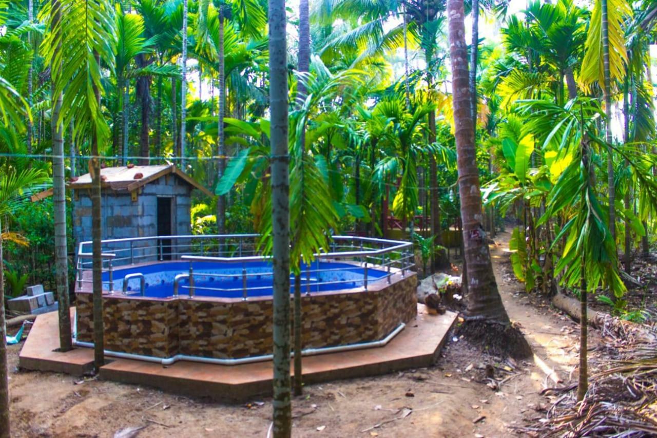 Maitreya Beach Resort Дивеагар Экстерьер фото